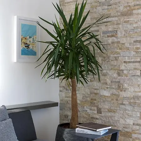 Casadelmare14 Roof Deluxe - Vista Mozzafiato Con Jacuzzi * Tortoreto